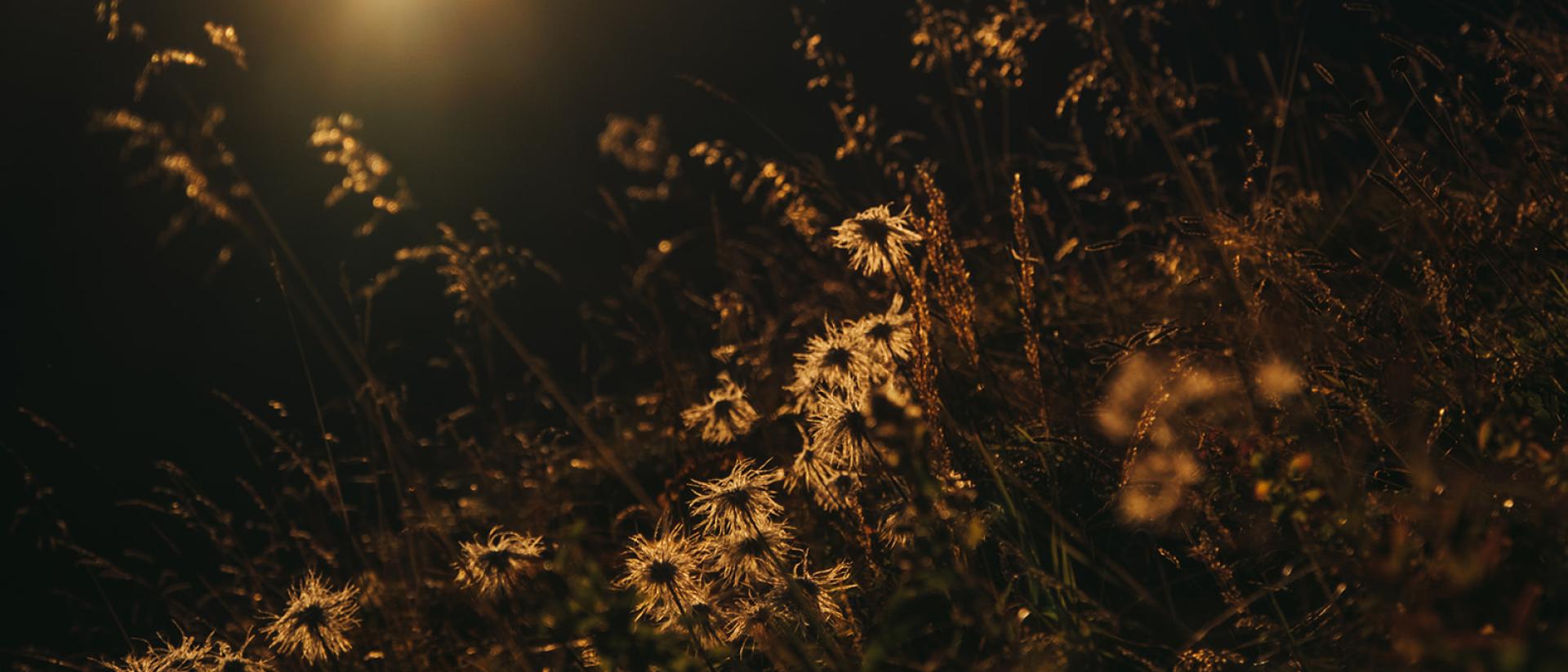 Goldener Wanderherbst in Lech – bleiben Sie etwas länger