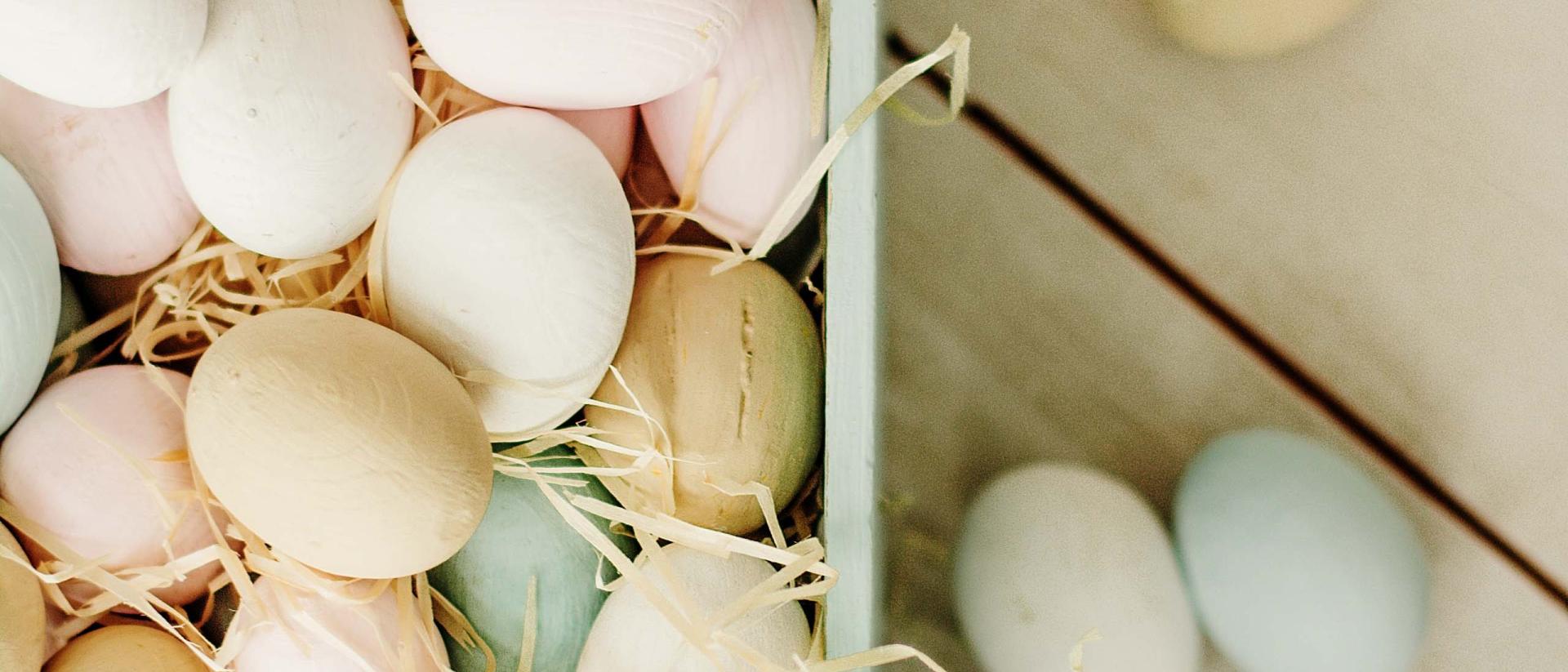 Großartige Familienzeit – Kinder bis 12 gratis!