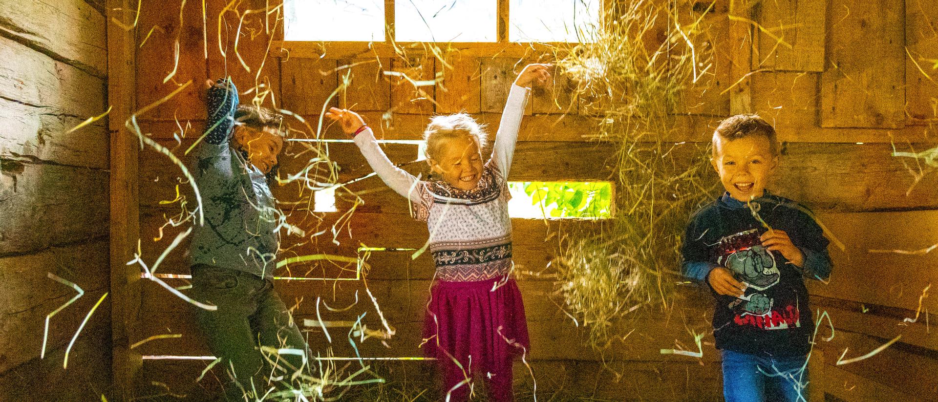 November special offer 4=3 and 7=6