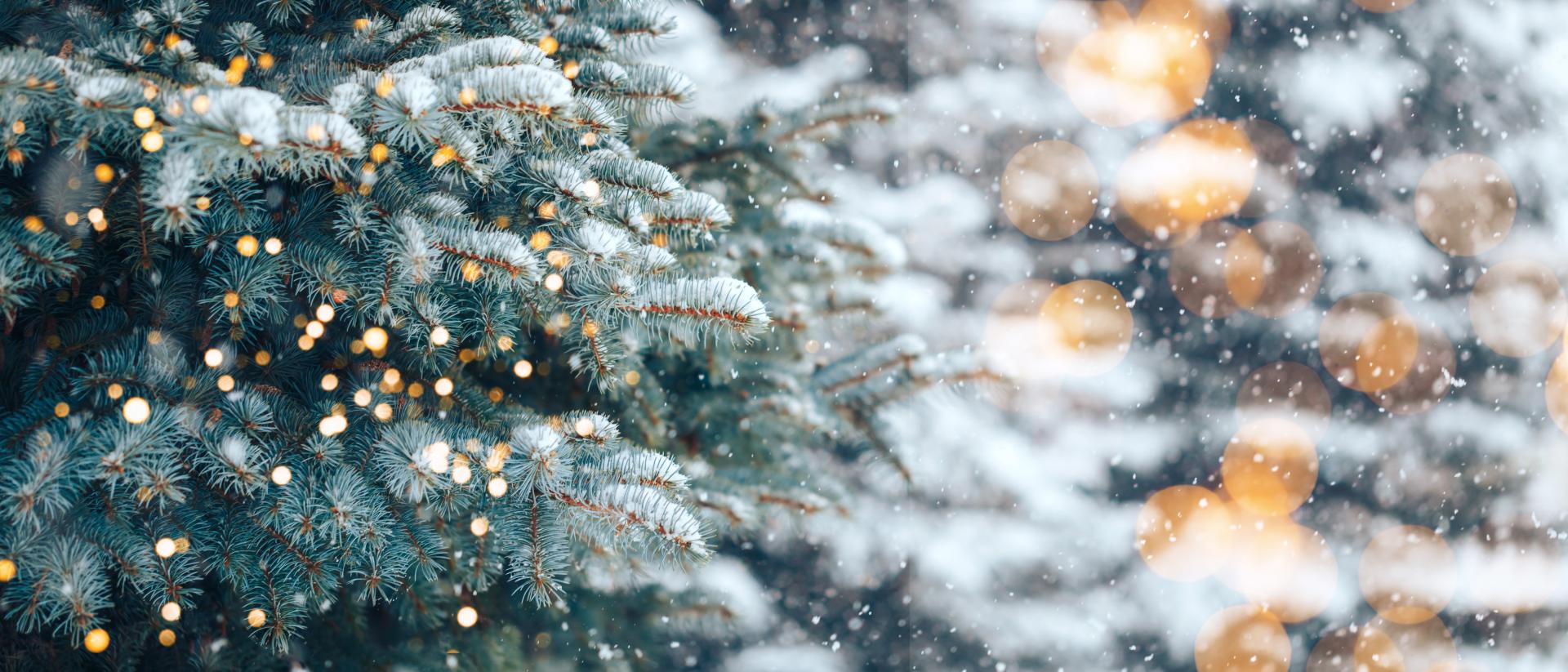 Weihnachten auf 900 Höhenmetern