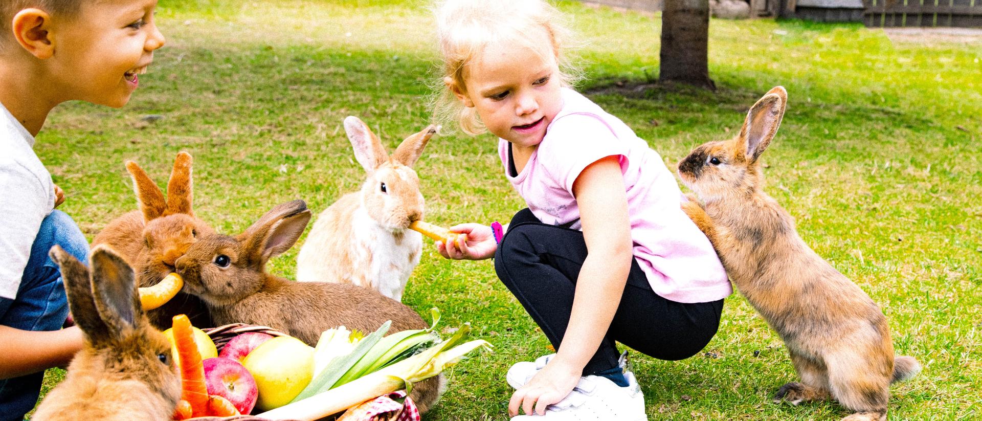 Bis - 60 % auf den Chalet-Preis