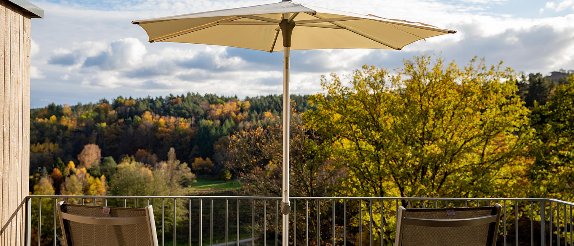 Penthouse-Suite Traubennestl