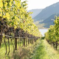 Lavoratore agricolo (f/m)