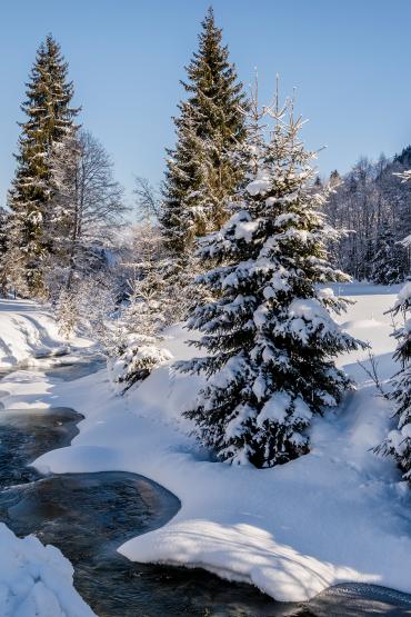 Einfach ein paar Tage über Weihnachten.