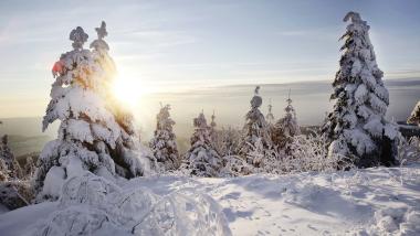 Winter-Special