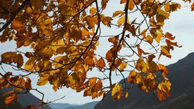 Herbst am Gardasee