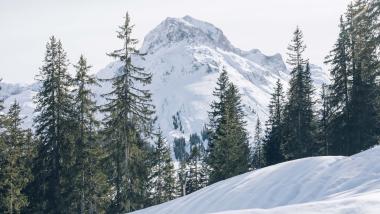 Verschneite Berglandschaft mit Tannen bei Hohe Welt Luxury Apartments