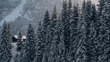 Advent Kurzgenuss