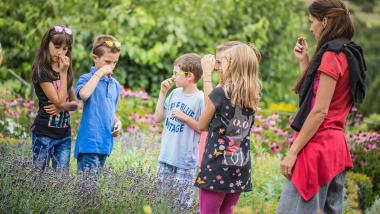 Early booking: vacanza in famiglia a un prezzo speciale!