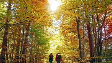 Goldener Oktober im Relilax