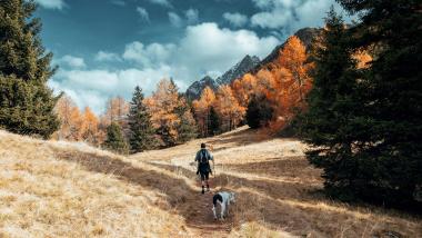 Frühbucher Genussherbst