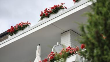 Blumen auf Balkonen am Hotel Reppert, Blick nach oben