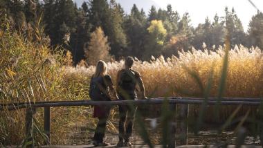 Autumn Delights by the Lake