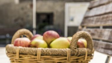 Apple & Autumn Escape