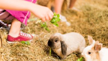 Familienskizeit zu Ostern