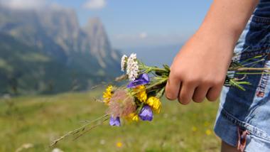 Bergfrühling in den Dolomiten