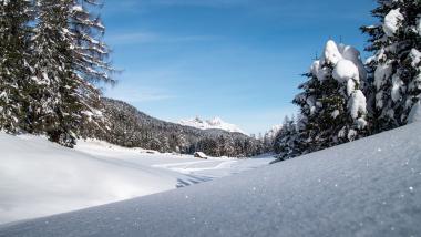 Schneebedeckte Berglandschaft mit Wald und blauem Himmel beim Biohotel Leutascherhof
