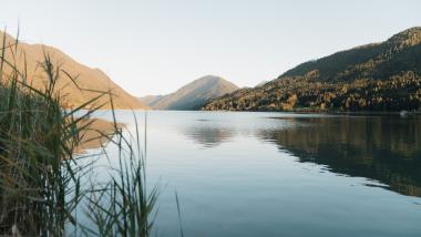 LACUS 4=3 Frühsommerspecial