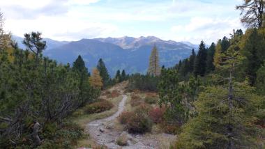 Wanderweg im Hochfeldhof mit Blick auf bewaldete Berge und Himmel