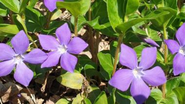 Eröffnungs-Special 26