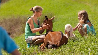 Familienurlaub auf dem Bauernhof – Unvergessliche Erlebnisse für Groß & Klein