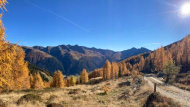 Goldener Herbst im Gsiesertal
