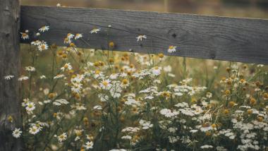 Kurz mal Frühling - 2 Nächte