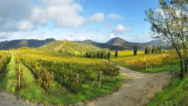 Den Spätsommer in den Colli Euganei entdecken