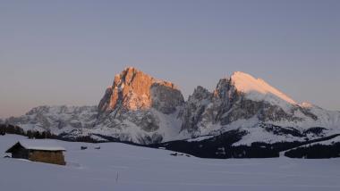 Super Januar Vorteilswoche 7=5