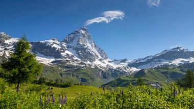 Cervino Matterhorn Ultra Race