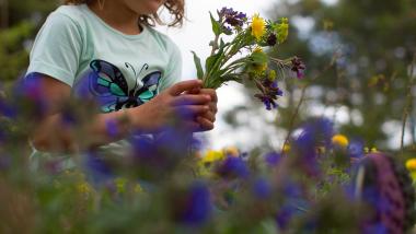 Südtiroler Blütengenuss-Wochen in Natz-Schabs