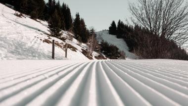 DER GREIL frische Skispur im Schnee an bewaldetem Berghang