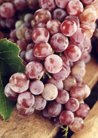 34° Merano Winefestival