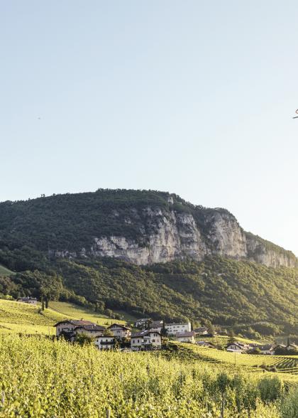 Im Fluge ins Urlaubsparadies