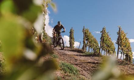 High Alpine Special Trail Week with the E-MTB