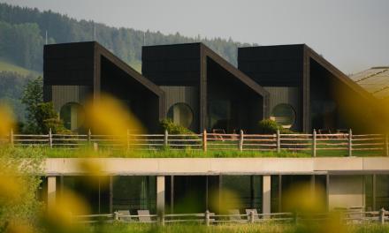 Stammgästetage im Pfösl