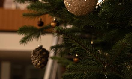 Weihnachtszauber | Weihnachtsmarkt in Glurns