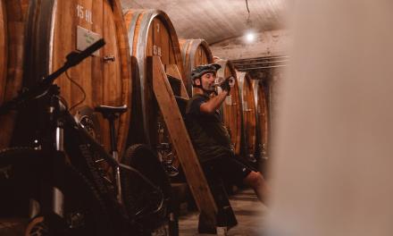 Viaggio enogastronomico in Alto Adige con la E-MTB