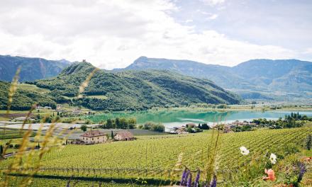 Spring awakening 4=3