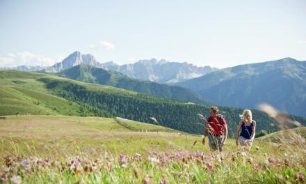 Settimana delle escursioni Naturellness