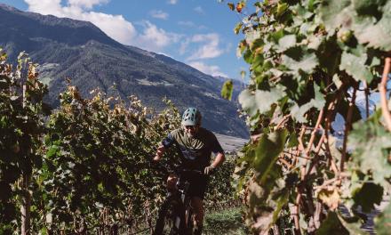 Settimana di prova e-mountain bike