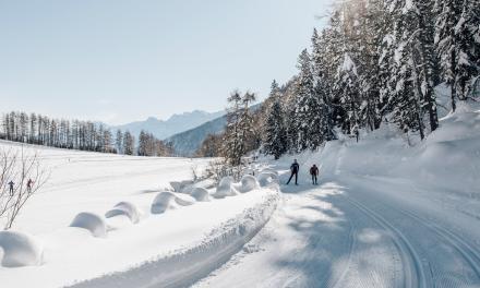 Cross-country week in January and February
