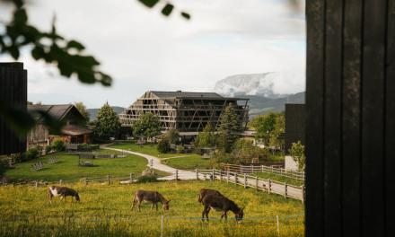 Alpine Reset-Dolomites Regeneration