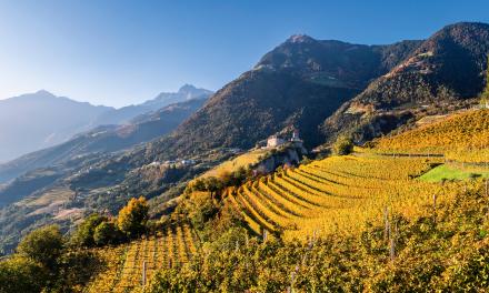Goldene Herbsttage in Südtirol