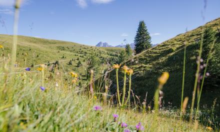 Pasqua al Lüsnerhof