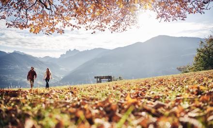 Wandertage und Törggele-Genuss