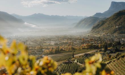 Nature, views & wellness - the taste of autumn