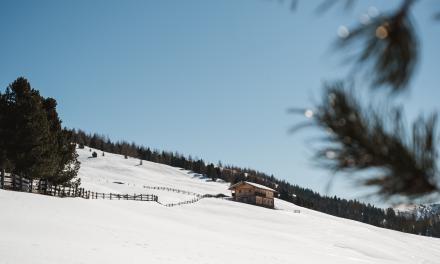 naturellness®Winter 5=4