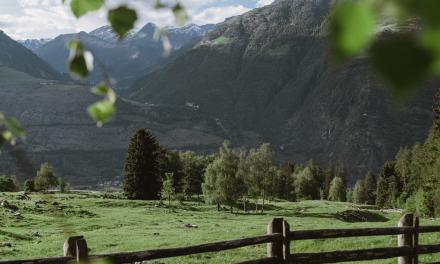GreenCard: la carta vantaggio personale