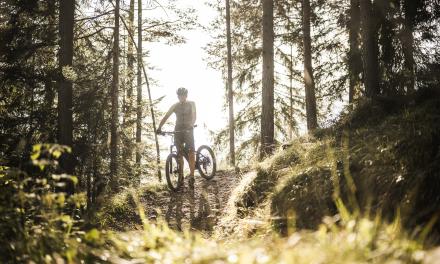 Tour & Trail SHORT